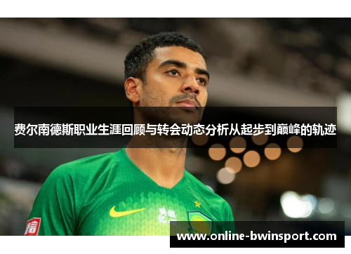 费尔南德斯职业生涯回顾与转会动态分析从起步到巅峰的轨迹