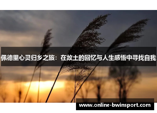 佩德里心灵归乡之旅：在故土的回忆与人生感悟中寻找自我