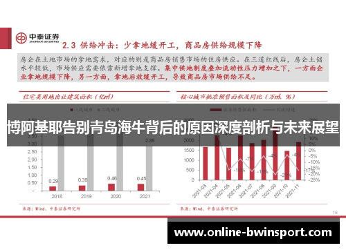 博阿基耶告别青岛海牛背后的原因深度剖析与未来展望