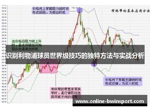 识别利物浦球员世界级技巧的独特方法与实战分析