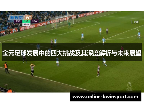 金元足球发展中的四大挑战及其深度解析与未来展望
